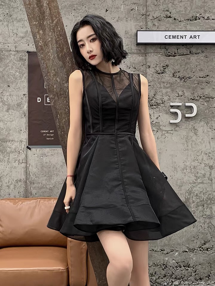 Chic Black Sleeveless Mesh Panel A-line Dress